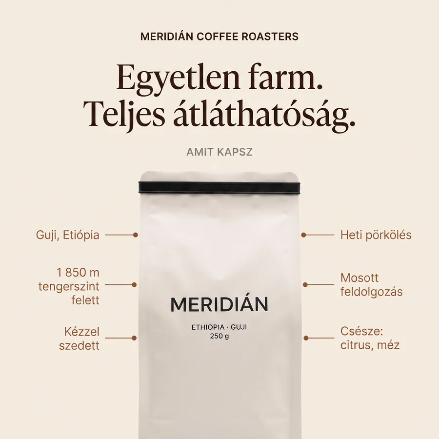 Minden érv egy képen